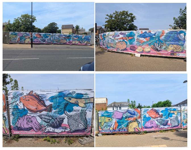 Hoardings at old Savoy Site Sandown